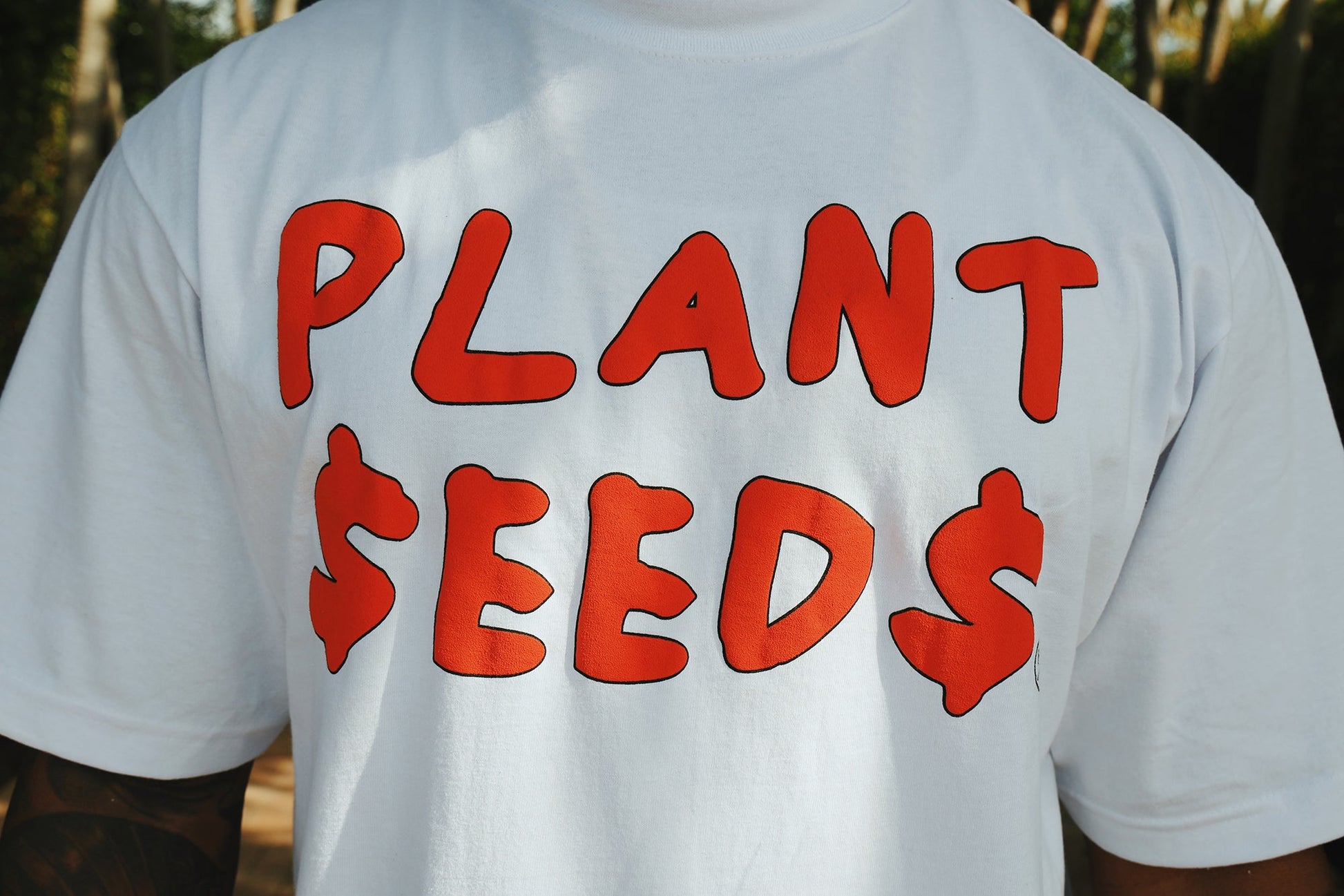 Plant Seeds - RTS Collaborative