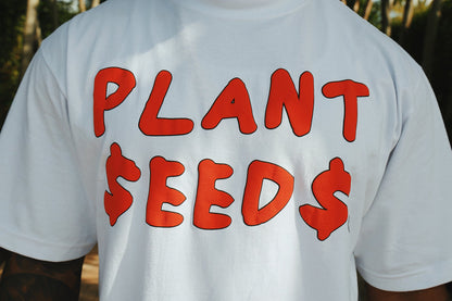 Plant Seeds - RTS Collaborative