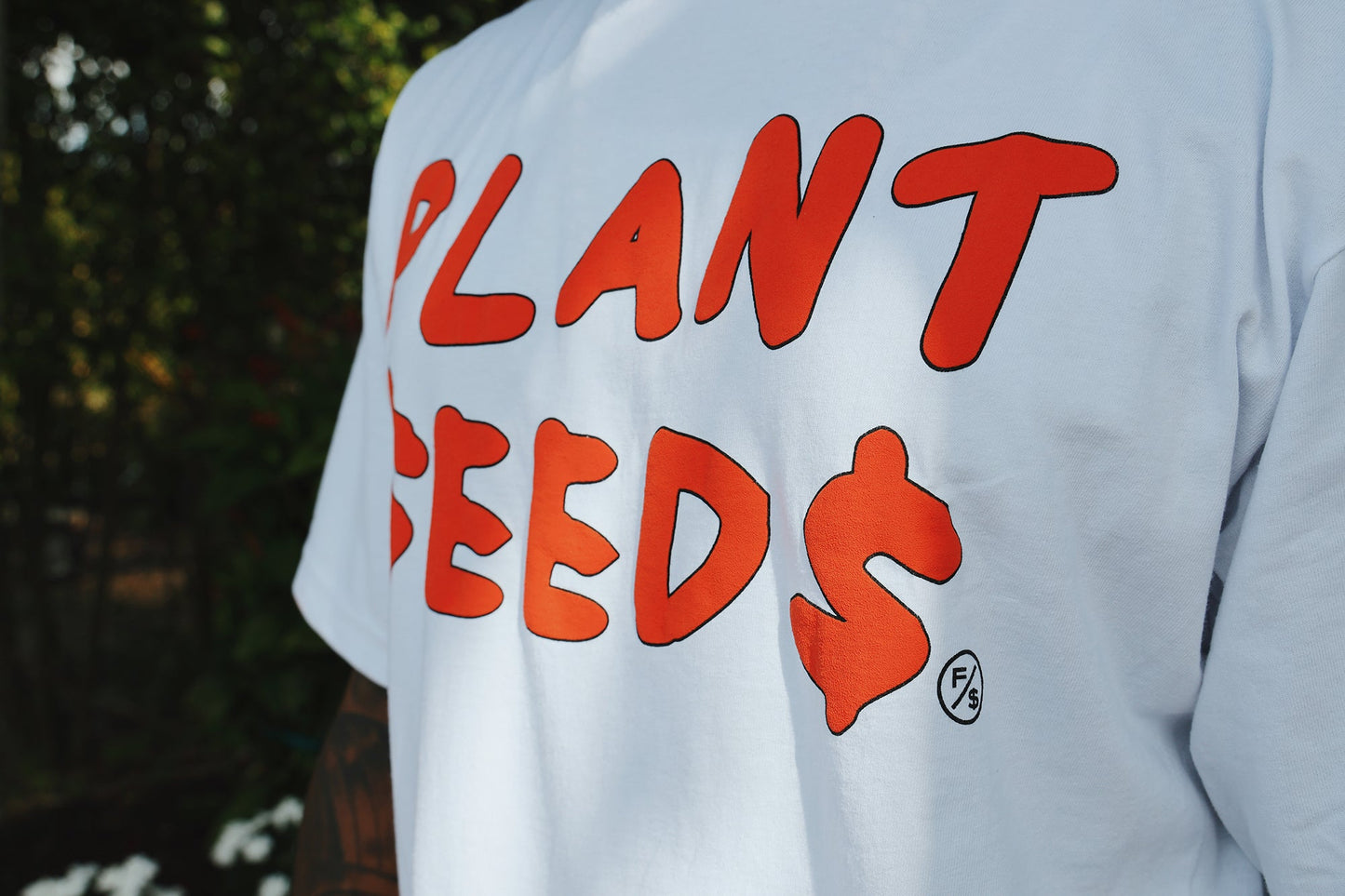 Plant Seeds - RTS Collaborative